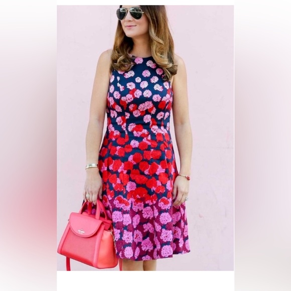 Maggy London Navy Dress with Red and Pink Floral Design - Picture 1 of 10